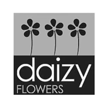 Daizy Flowers